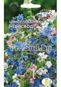 Циноглоссум Небосвод