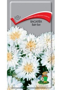 Василёк Вайт бол