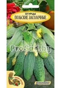 Огурец Польские засолочные, смесь (Польша)