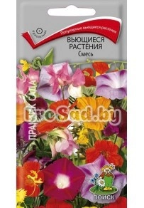 Смесь Вьющиеся растения