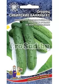Огурец F1 Сибирские бананы