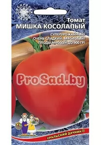 Томат Мишка косолапый