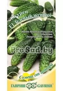 Огурец F1 Зелёный экспресс
