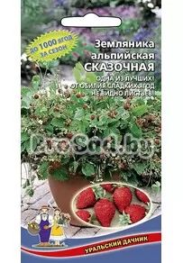 Земляника альпийская Сказочная
