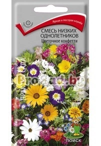 Смесь низких однолетников Цветочное конфетти