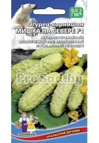 Огурец F1 Мишка на Севере