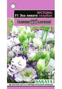 Эустома (Лизиантус) F1 Эхо пикоти голубая