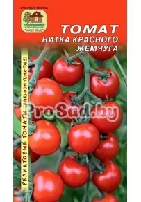 Томат реликтовый Нитка красного жемчуга