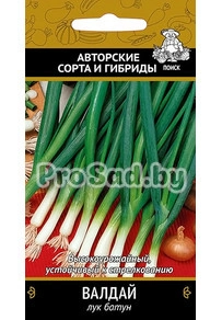 Лук батун (на перо) Валдай