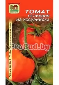 Томат реликтовый Реликвия из Уссурийска