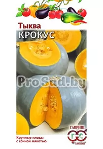 Тыква Крокус