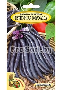 Фасоль спаржевая Пурпурная королева