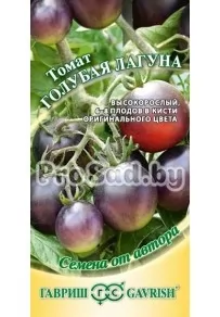 Томат Голубая лагуна