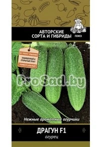 Огурец F1 Драгун