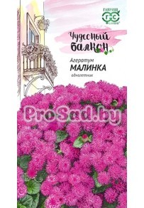 Агератум Малинка
