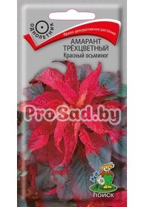 Амарант трёхцветный Красный осьминог