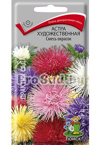 Астра художественная Смесь окрасок