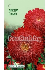 Астра Сильвия