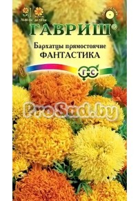 Бархатцы прямостоячие (Тагетес) Фантастика