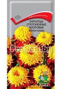 Бархатцы отклонённые махровые Жёлтая головка