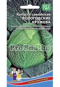 Капуста савойская Вологодские кружева
