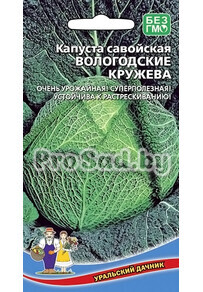 Капуста савойская Вологодские кружева