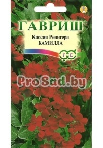 Кассия Ренигера Камилла