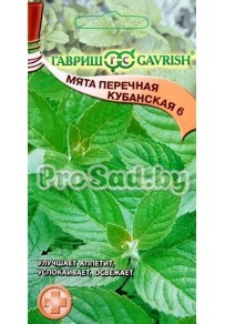 Мята перечная Кубанская 6