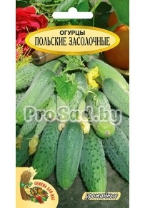 Огурец Польские засолочные, смесь (Польша)