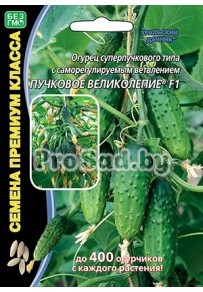 Огурец F1 Пучковое великолепие