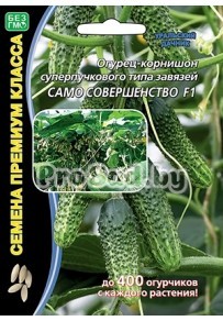 Огурец F1 Само совершенство