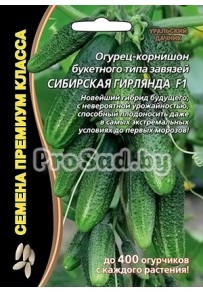 Огурец F1 Сибирская гирлянда