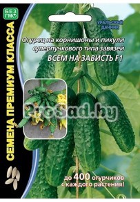 Огурец F1 Всем на зависть