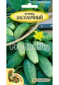 Огурец Засолочный