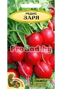 Редис Заря