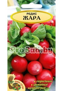 Редис Жара