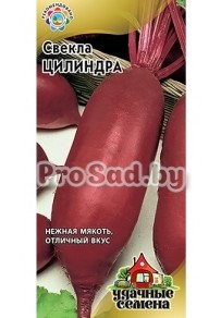 Свёкла столовая Цилиндра