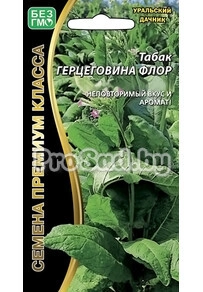 Табак курительный Герцеговина Флор