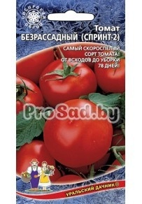 Томат Безрассадный