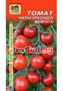 Томат реликтовый Нитка красного жемчуга