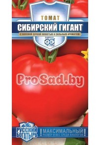 Томат Сибирский гигант
