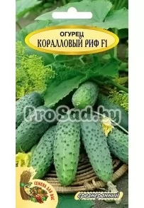 Огурец F1 Коралловый риф