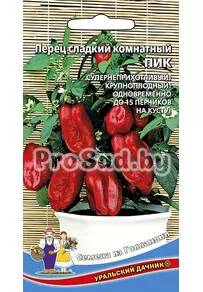 Перец сладкий комнатный Пик