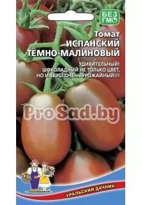 Томат Испанский Тёмно-малиновый