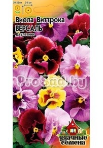 Виола Виттрока Версаль, смесь