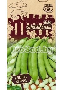 Бобы Янкель бялы
