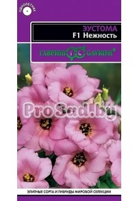 Эустома F1 Нежность