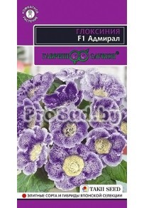 Глоксиния F1 Адмирал