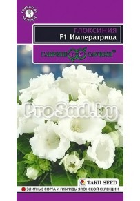 Глоксиния F1 Императрица