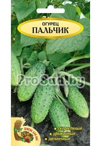 Огурец Пальчик